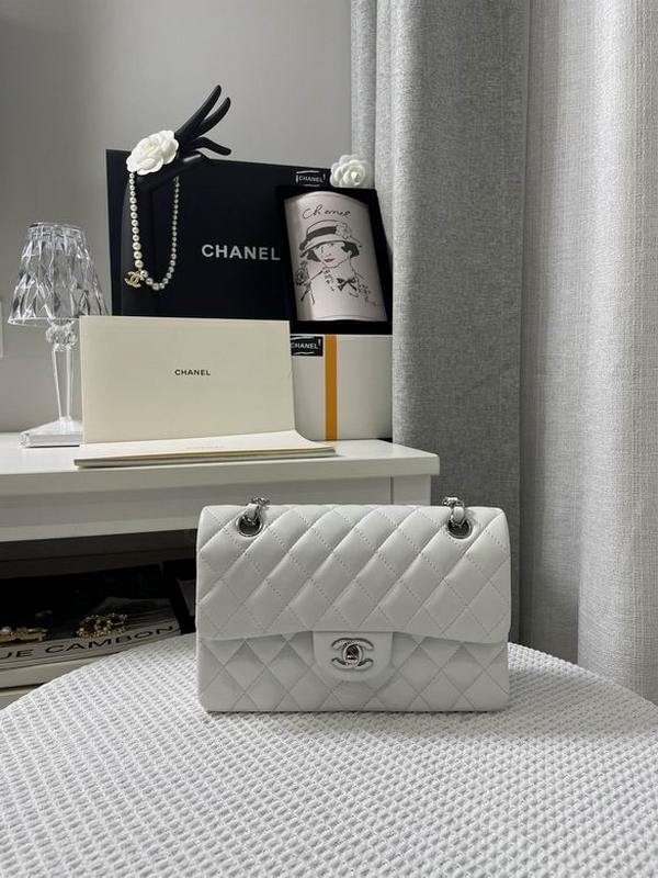 Chanel Handbags 172